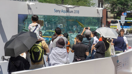 Tokyo, Japan - August 2018: People watch fish swimming in the aquarium outside the Sony Building in...