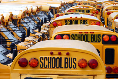 Yard full of parked yellow school buses.