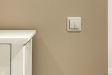White electric switch on a beige wall