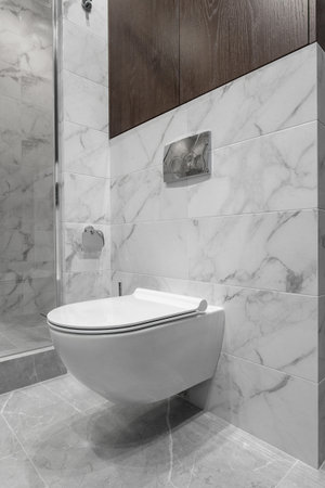 bathroom interior with white toilet and bidetの写真素材