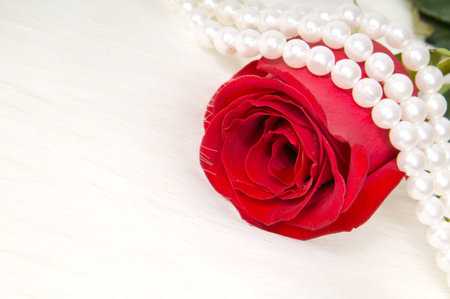 beautiful red rose and pearl necklace , lay on white to furの写真素材