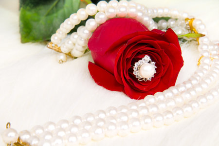 beautiful red rose and pearl necklace , lay on white to furの写真素材