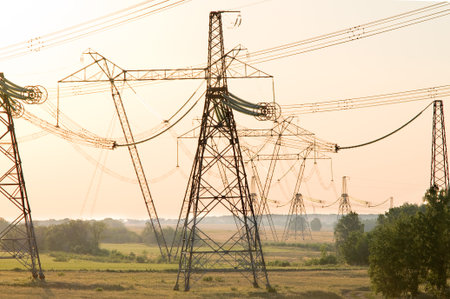 many pillar live wire on nature, among the field and woods