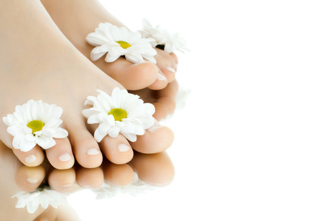 the pretty female legs with fowers, on white background, isolated, close upの写真素材