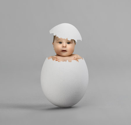 one white egg with baby, on grey background, hatchingの写真素材