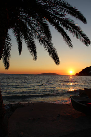 Sunset on the beach with palm leafs and ship
の写真素材