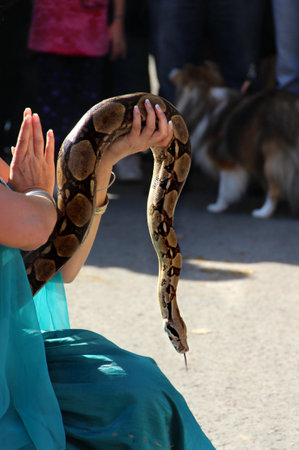 Middle age performance with snake の写真素材