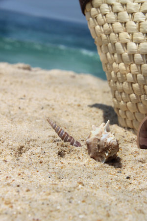 Straw bag on the beach and shells の写真素材