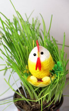 Easter grass and bunny handmade chicken の写真素材