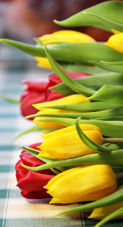 Beautiful mix of vivid multicolored tulips の写真素材
