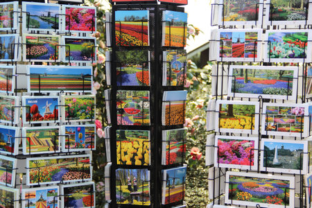 Greeting from Amsterdam, lot of vivid postcards