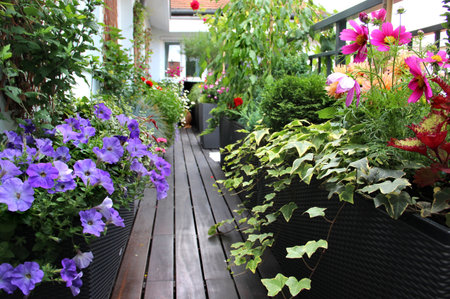 Modern real estate  house terrace with a lot of flowersの写真素材