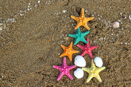 Christmas and New Year on the beach in creative style
の写真素材