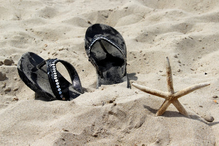 Summer shoes on the beach with white sand and starfishの写真素材