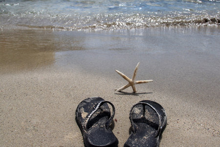 
Summer shoes on the beach with white sand and starfishの写真素材
