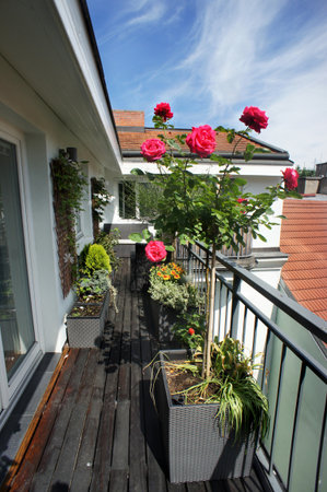 Beautiful modern real estate terrace with a lot of flowers の写真素材