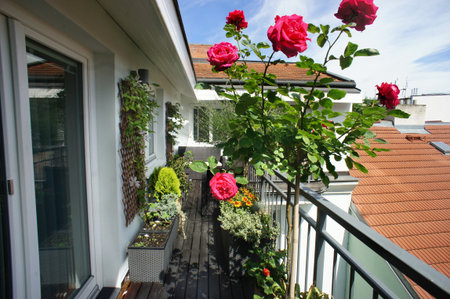 Beautiful modern real estate terrace with a lot of flowers  の写真素材