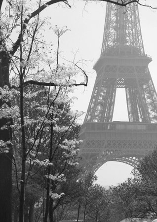 Eiffel tower in bloom and nice sunny day, Paris, Franceの写真素材