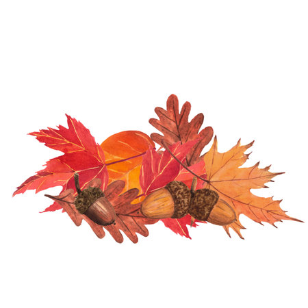 Composition with fall leaves and acorns. Fall decoration, illustration, hand-drawing, leaves, acorns.の写真素材