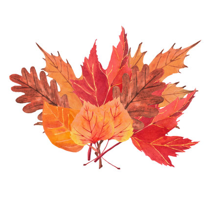Watercolor composition with fall leaves. Fall decoration, illustration, hand-drawing, leaves, autumnの写真素材
