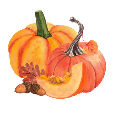 Composition of slice of pumpkin, pumpkins, leaves and acorn. Pumpkin, leaves, acorn, fall, thanksgiving day, holidayの写真素材