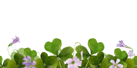 Watercolor frame illustration of vibrant Oxalis Triangularis isolated on white background.の写真素材