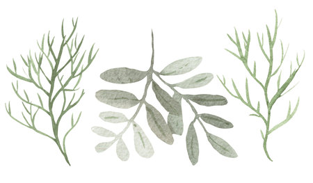 Watercolor set of green fantasy brunches and leaves isolated on white backgroundの写真素材