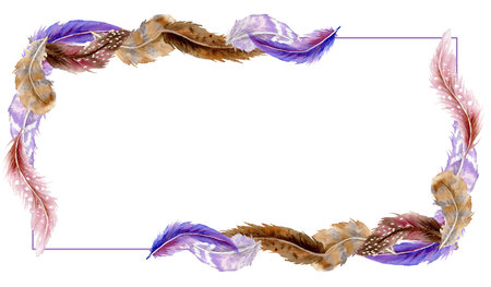 Rectangle frame of different color feathers with different vibrant by watercolorの写真素材