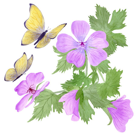 Composition of light purple geranium maculatum flowers and yellow butterflies by watercolorの写真素材