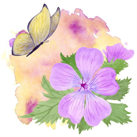 Composition of light purple geranium maculatum flowers and leaves, butterfly and spot by watercolorの写真素材