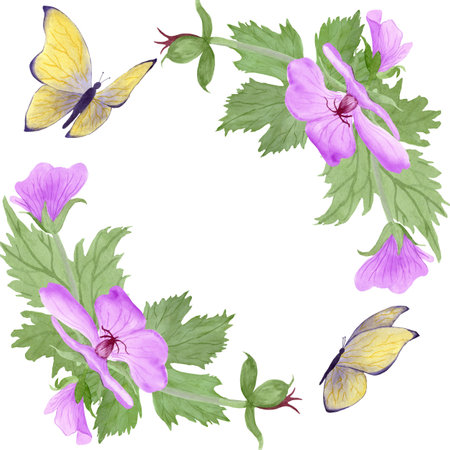 Corner square frame with light purple geranium maculatum flowers and butterflies by watercolorの写真素材