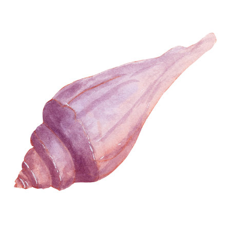 Watercolor light purple fantasy seashell from shoreの写真素材