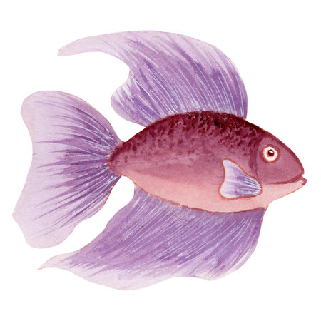 Watercolor pink and light purple fantasy fishの写真素材