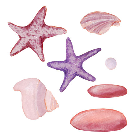 Watercolor set of light purple and pink seashells, starfishes and rocks from shoreの写真素材