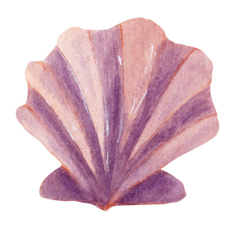 Watercolor sketch of light purple fantasy seashell.の写真素材