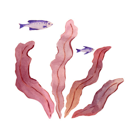 Watercolor sketch of shadow of pink fantasy branches of seaweed and small purple fishの写真素材