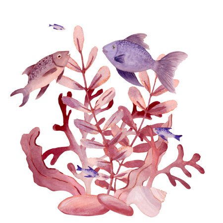 Watercolor composition shadow of pink fantasy branches of seaweed and different dish fishの写真素材