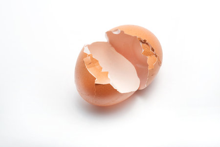 cracked egg shell