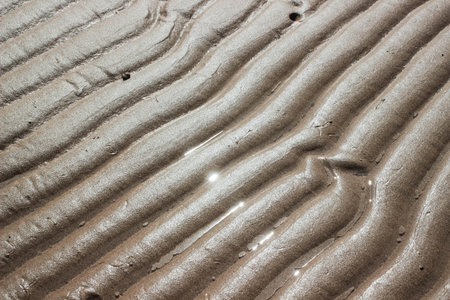 Ripple sand on the beach after low tide with sunlight reflection