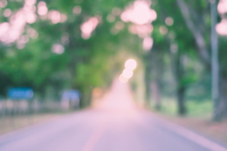 Blur road with trees along two sides.の写真素材