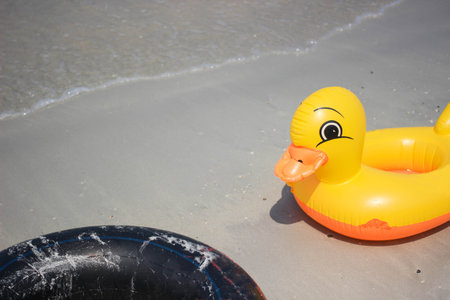 Two life rings on the beach sush as duck and black life ring.の写真素材