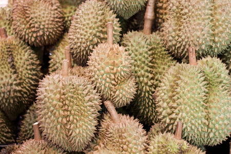 Durian fruits on shelf in the supermarket, king of Thailand fruits.