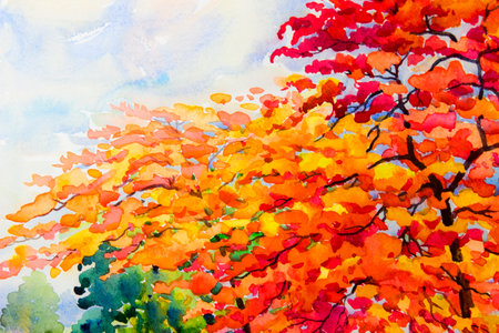Painting watercolor landscape original colorful of red tree flowers and emotion in cloud background,Spring of peacock flowers tree in spring season,Impressionist watercolor painting styleの写真素材