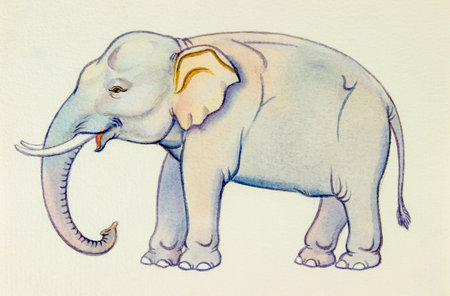 Watercolor painting  illustration lovely  cartoon  of elephant in white backgroundの写真素材