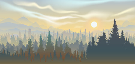 Vector panoramic landscape of forest in sunset with silhouettes of pine trees on mountain and hills background. Panorama scenery woodland pine forest in mountain range for wallpaper background.のイラスト素材