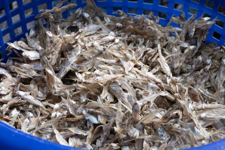 small salted dry fish in Thai cuisineの写真素材