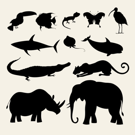 different silhouettes of animalsのイラスト素材
