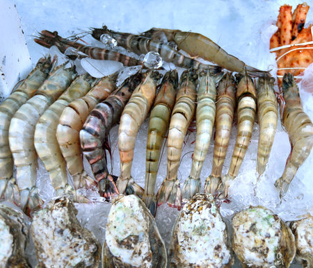 bright large fresh shrimp on ice の写真素材