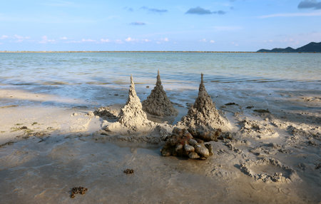 beautiful sand castles on the shore of the beach on a sunny afternoon 