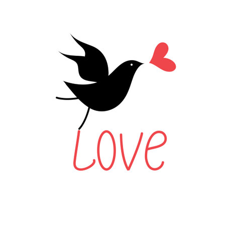 Vector silhouettes of birds in love with heart on a white backgroundのイラスト素材